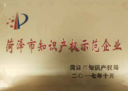 _0003_11、菏澤市知識產(chǎn)權(quán)示范企業(yè)